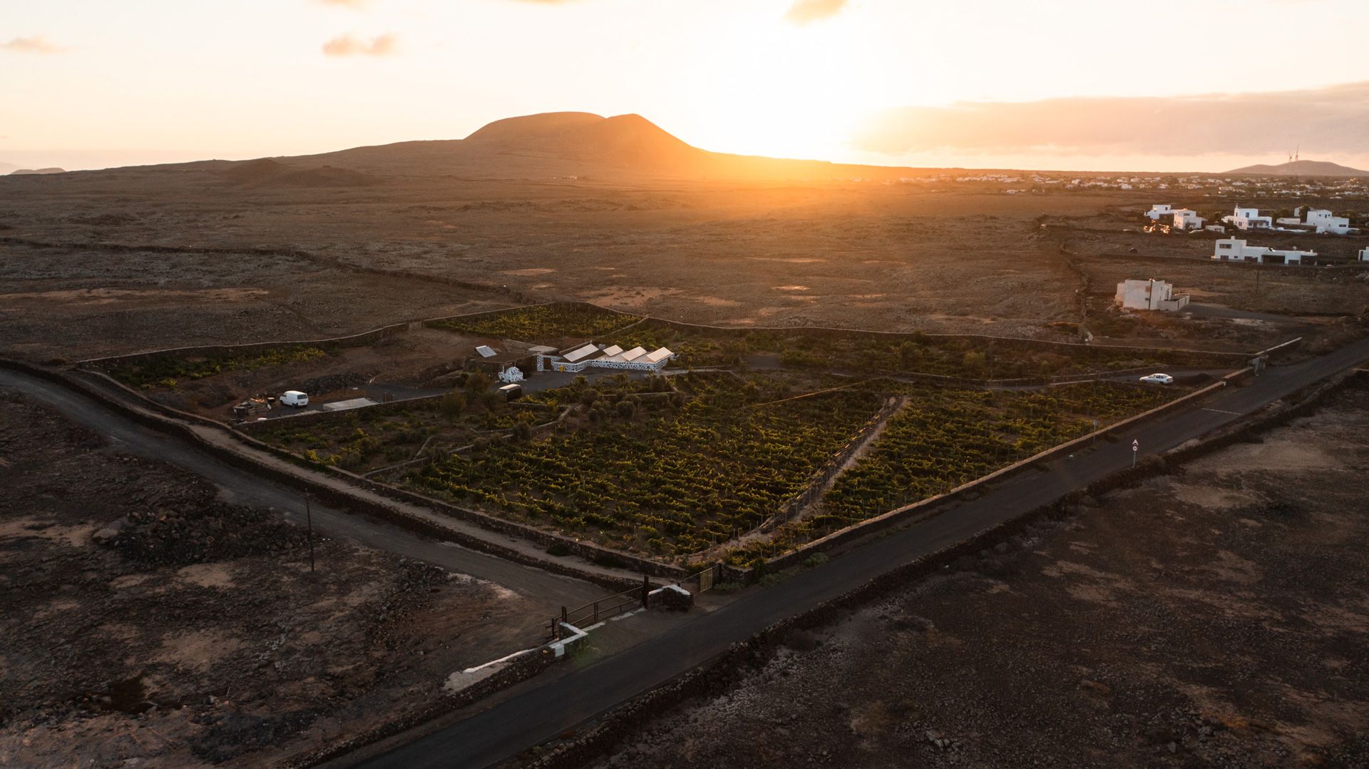 Bodega Wines CONATVS Fuerteventura aerea 3